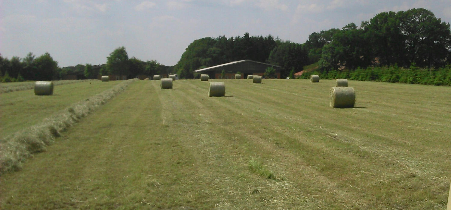Mehrere Heuballen